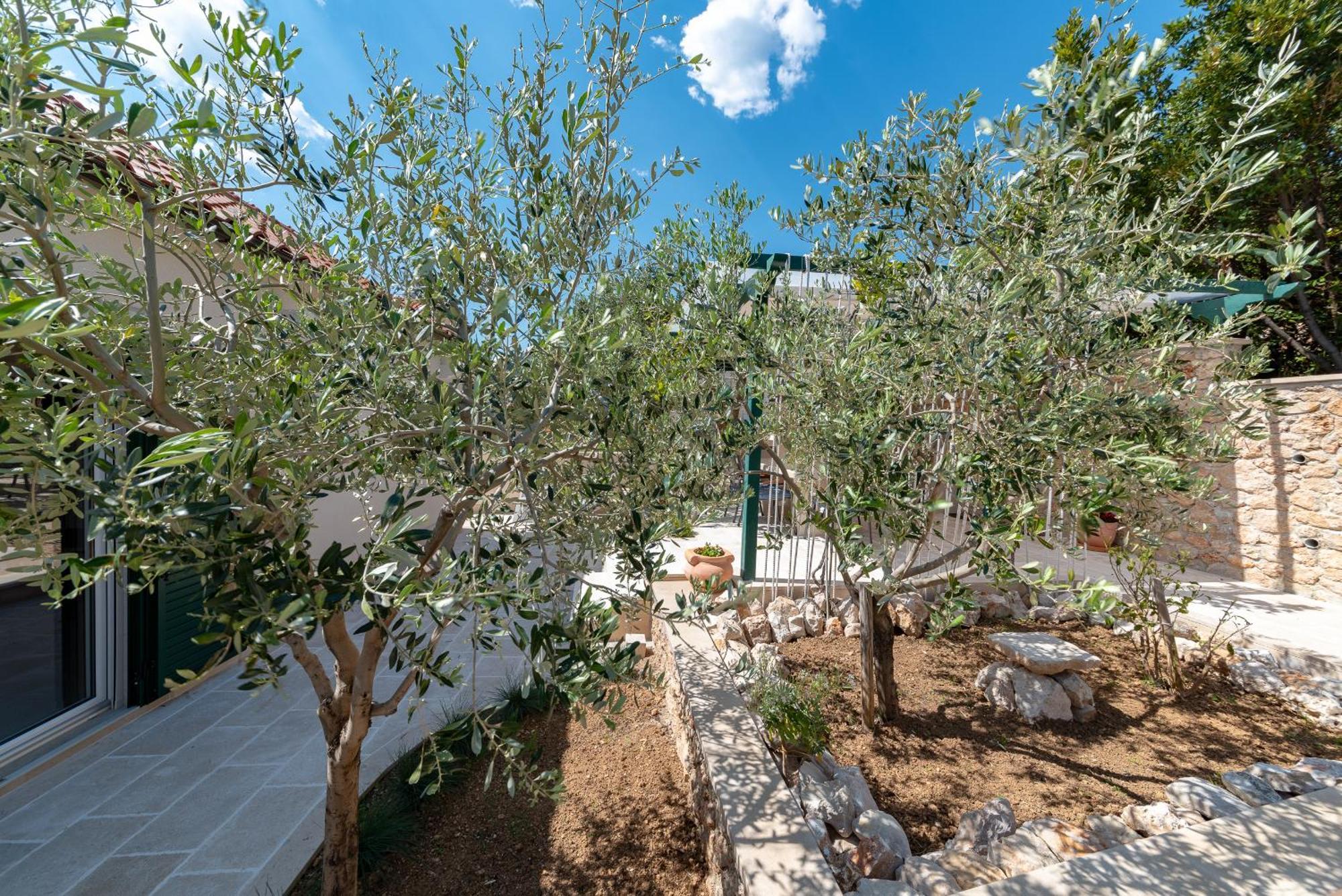 Casa Ol'Bol - Modern Apartment With Seaview And Private Large Backyard Esterno foto